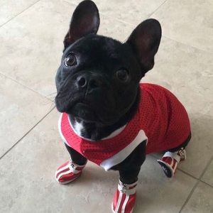 Meet your Posher, Diana